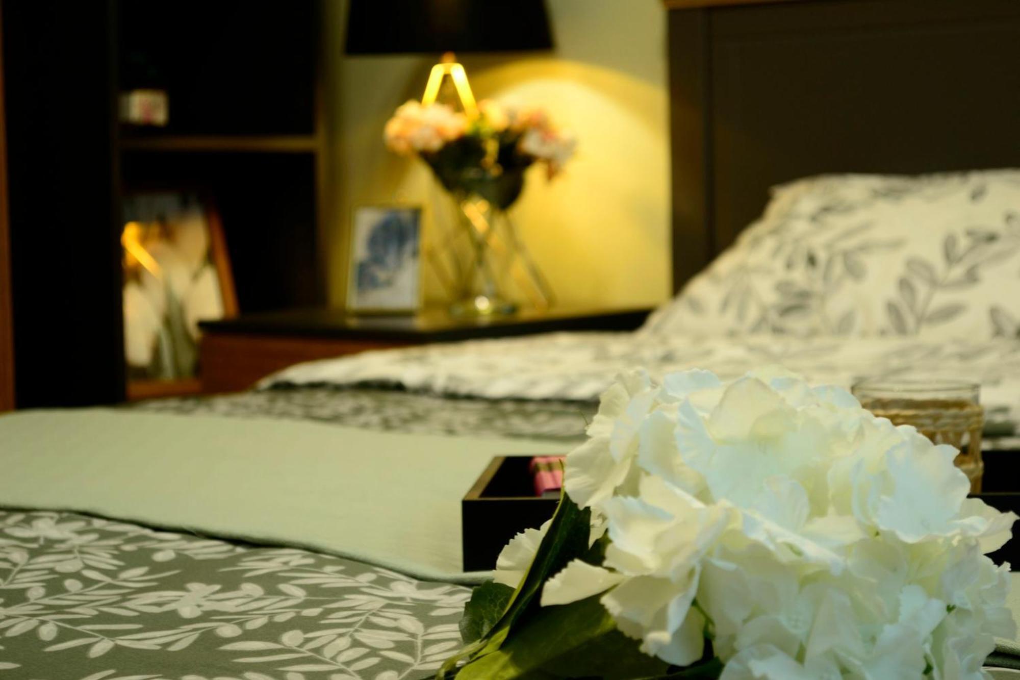 Apartament Cozy 2 Drumul Taberei